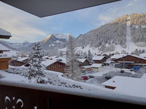 Minutes Walk from Gstaad Center - Great Apartment